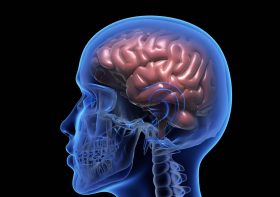 Brain training games do actually improve your memory, study shows